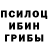 Псилоцибиновые грибы GOLDEN TEACHER Max Senchilov